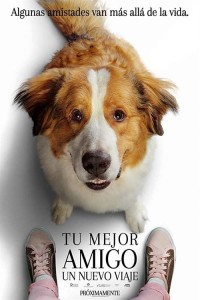 A Dog’s Journey