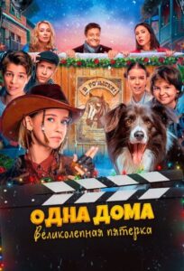 Home Alone The Magnificent Five
